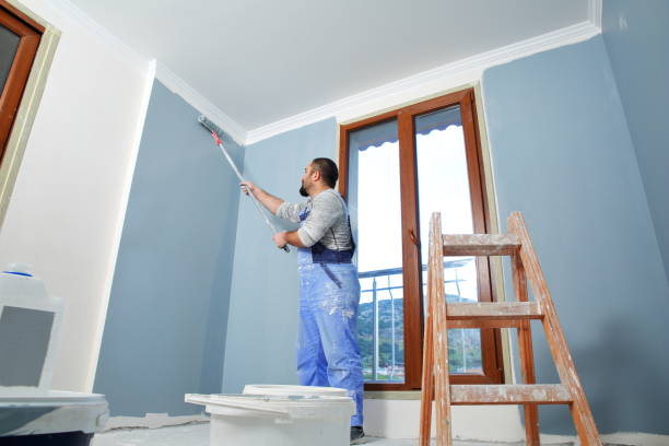 Dehumidification Services in North Branch, MI