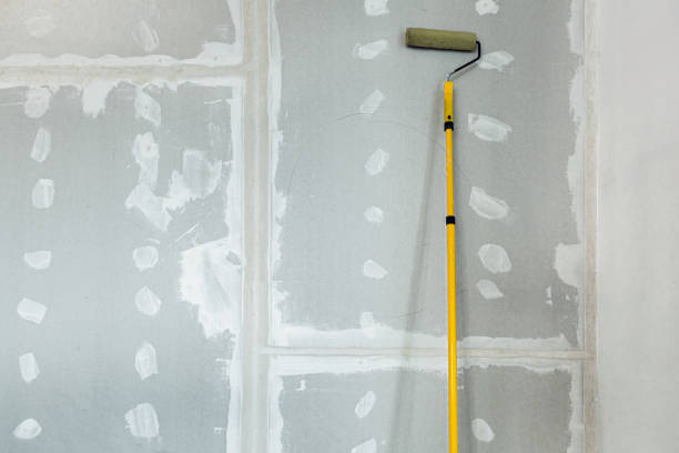 North Branch, MI Mold Removal Company