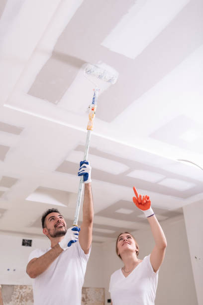 Biohazard Mold Removal in North Branch, MI