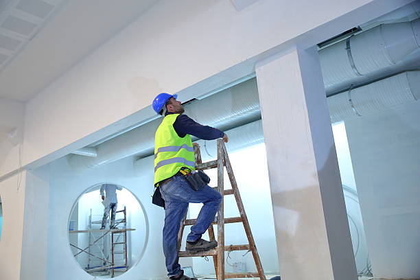 Mold Remediation for Rental Properties in North Branch, MI